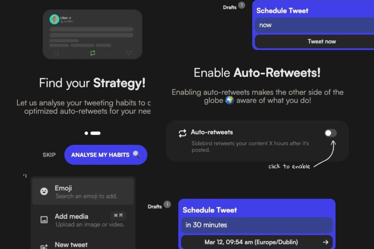 sidebird twitter growth tools